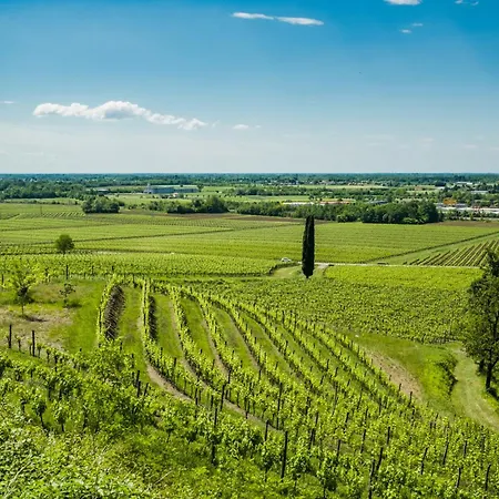 Le Clama ベッド・アンド・ブレックファスト Buttrio